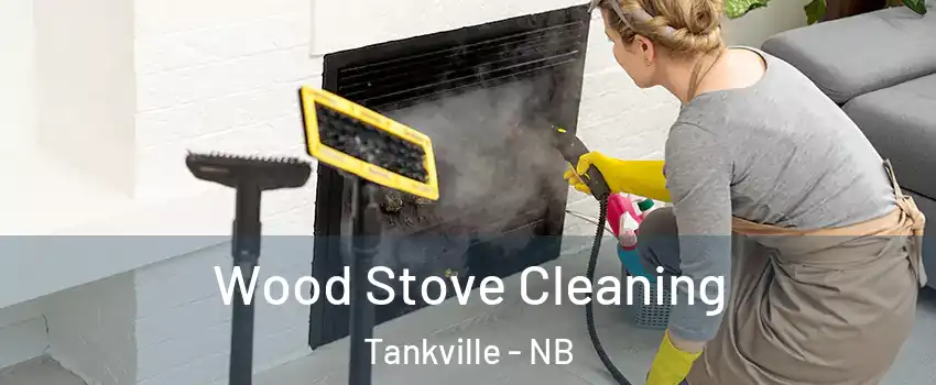  Wood Stove Cleaning Tankville - NB
