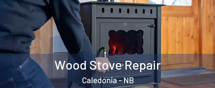  Wood Stove Repair Caledonia - NB